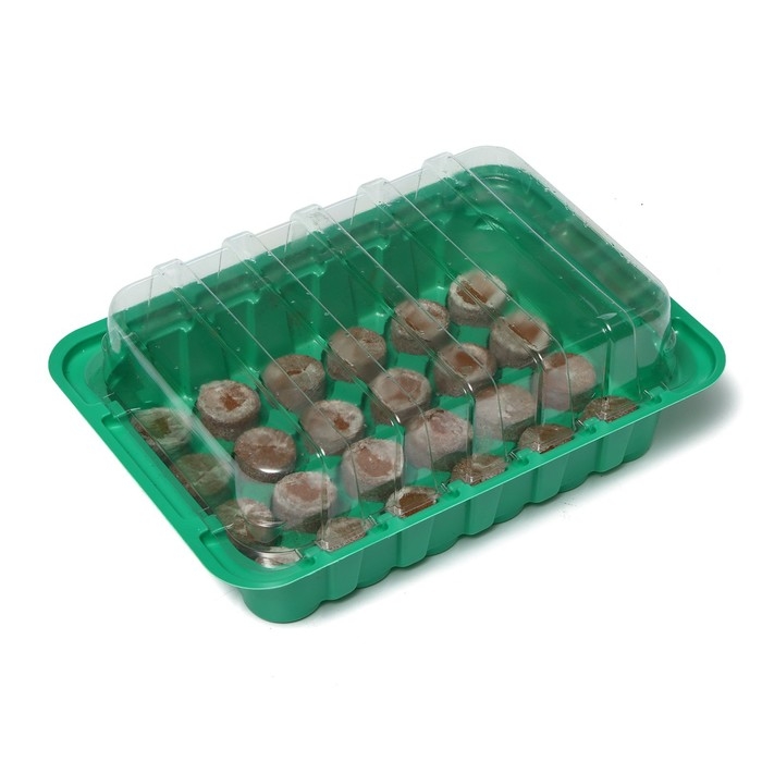 Мини-парник для рассады: кокосовая таблетка d = 3 см (24 шт.), парник 25 &times; 17,5 см, jiffy