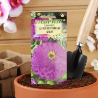 Семена цветов Цинния "Фиолетовая фея", ц/п,  0,3 г