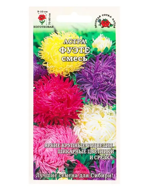 Семена Астра Фуэте смесь /Сотка/ 0,2г/ когот. 80см, d-10см/*1500