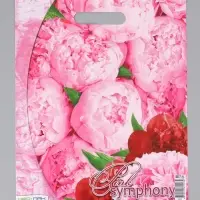 Пакет "Розовая симфония, полиэтиленовый с вырубной ручкой 30х40 см, 60 мкм