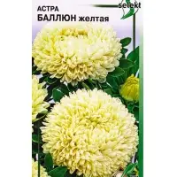 Семена цветов Астра Баллюн жёлтая 35 шт