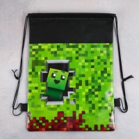 Мешок для обуви &laquo;Гейм&raquo; полиэстер, размер 30 х 40 см