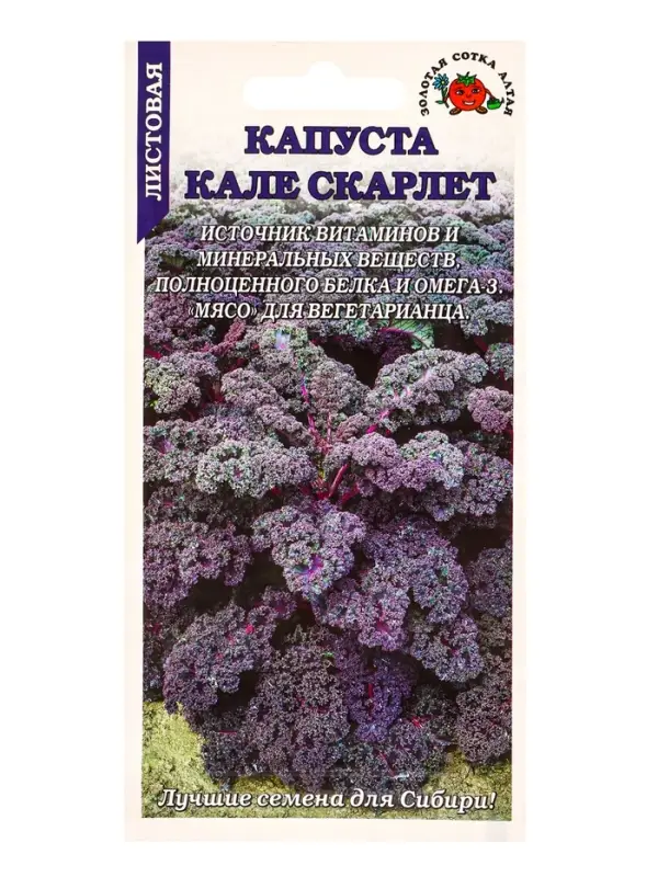 Семена Капуста Кале Скарлет листовая /Сотка/ 0,3г/ выс. 80-100см красн./*1200