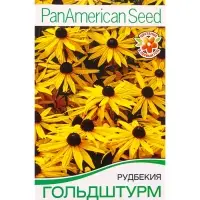Семена цветов Рудбекия Гольдштурм крупноцветковая Мн Спецсерия PanAmerican, Ц/П,5 шт.