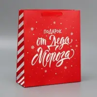 Набор новогодних пакетов &laquo;Новогодний подарок&raquo;