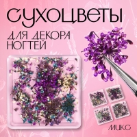 Сухоцветы для декора ногтей, в футляре, вид МИКС Сухоцветы для декора ногтей, в футляре, вид МИКС