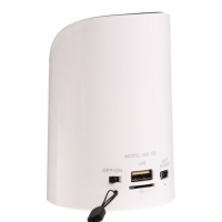 Портативная колонка WS-133, 3 Вт, microSD, FM, USB, белая Портативная колонка WS-133, 3 Вт, microSD, FM, USB, белая