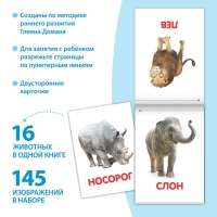 Книги &laquo;Карточки Домана на скрепке&raquo;, набор, 8 шт. по 20 стр.