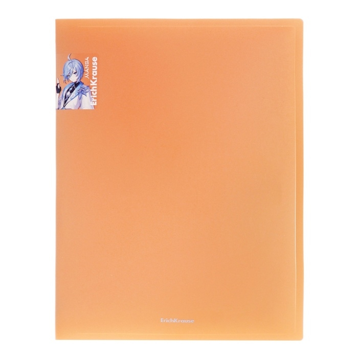 Папка на 4 кольцах ErichKrause "Matt Manga", A4, в пакете, МИКС