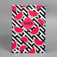 Папка для семейных документов &laquo;Docs&raquo;, 8 файлов А4