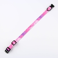 Набор &laquo;Нежность&raquo;, застёжка - фастекс, поводок 2 м и ошейник 28-46 см