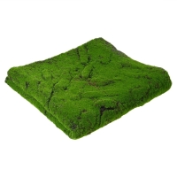 Мох искусственный, декоративный, полотно 1 &times; 1 м, рельефный, горный, зелёный, Greengo