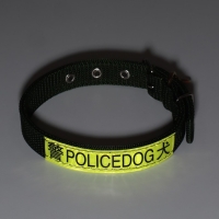 Ошейник двухслойный с вертлюгом, 3 см, зелёный Ошейник двухслойный с вертлюгом, 3 см, зелёный