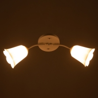 Люстра "Онлайн" (цветок) 2х15Вт Е27 МОДЕЛЬ: BR 00196 белый Люстра "Онлайн" (цветок) 2х15Вт Е27 МОДЕЛЬ: BR 00196 белый