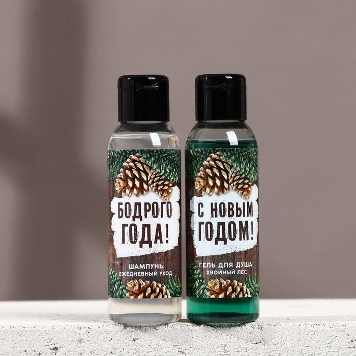 Подарочный набор косметики &laquo;Богатства и успеха&raquo;, гель для душа и шампунь для волос, 2 х 100 мл, Новый Год