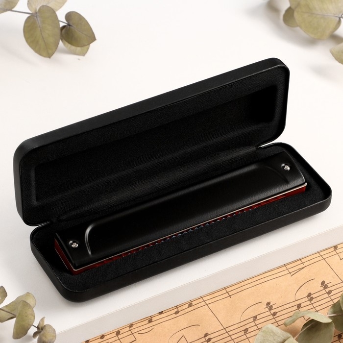 Губная гармошка Music Life T22K тремоло, с футляром Губная гармошка Music Life T22K тремоло, с футляром