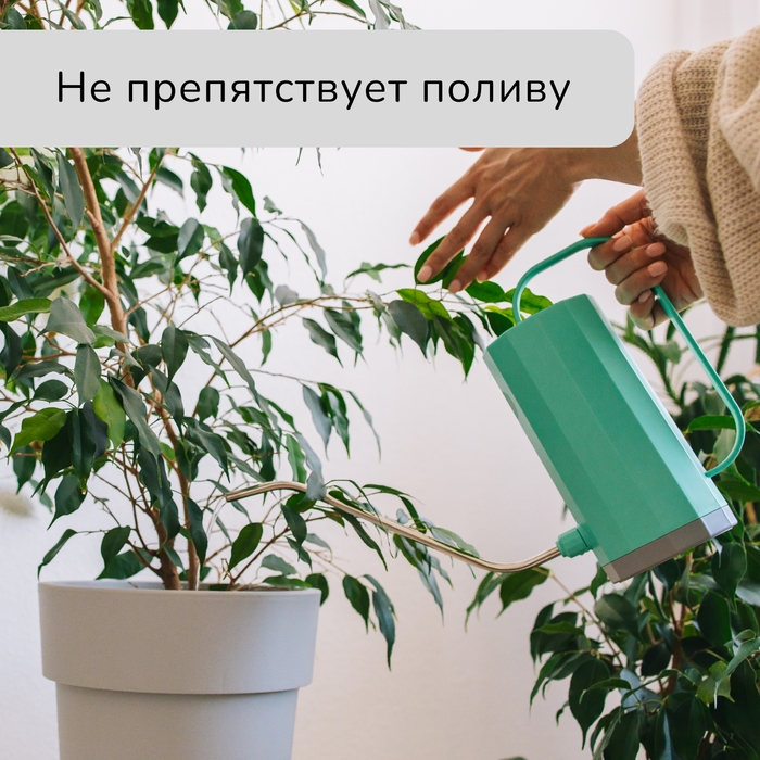 Защитная решётка для комнатных растений, от кошек, d = 19,5 см, пластик Защитная решётка для комнатных растений, от кошек, d = 19,5 см, пластик