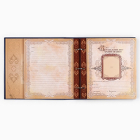 Родословная книга с рамкой под фото &laquo;Родословная книга&raquo;, 50 листов, 21,5 х 23,7 см.
