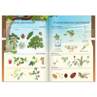 Набор книжек-шпаргалок «Мир природы и человека», 6 шт. Набор книжек-шпаргалок «Мир природы и человека», 6 шт.