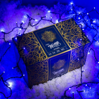 Гирлянда &laquo;Занавес&raquo; 2 &times; 3 м, IP44, УМС, тёмная нить, 760 LED, свечение синее, 220 В