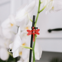 Клипса для растений &laquo;Стрекоза&raquo;, набор 10 шт., МИКС, Greengo