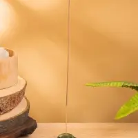 Подставка под благовония "Божья коровка" керамика, цв. зелёный, 4х3,5х1,5 см