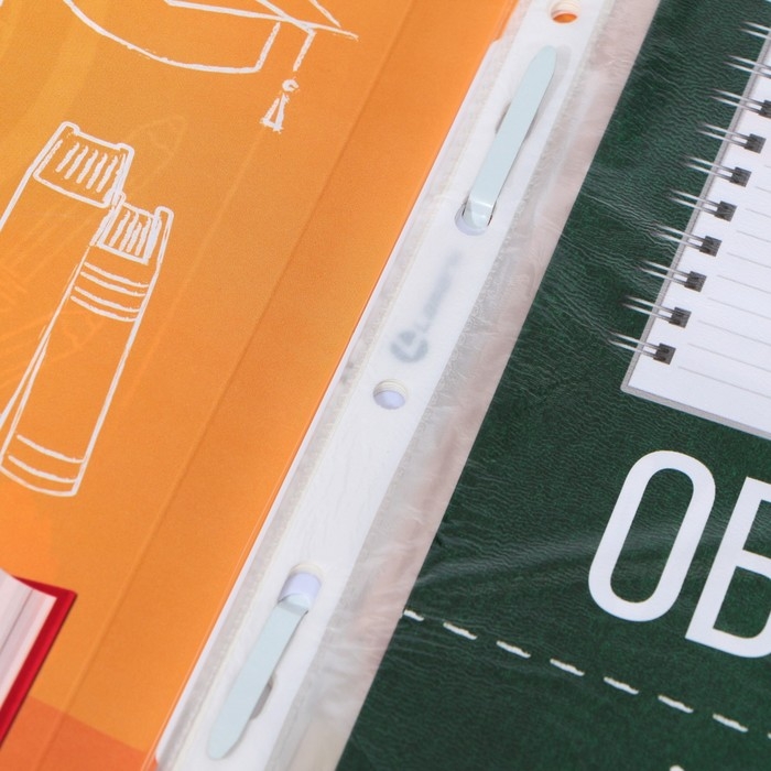 Папка школьная с креплением &laquo;Портфолио школьника&raquo;, 10 листов-разделителей, 21,5 х 30 см.