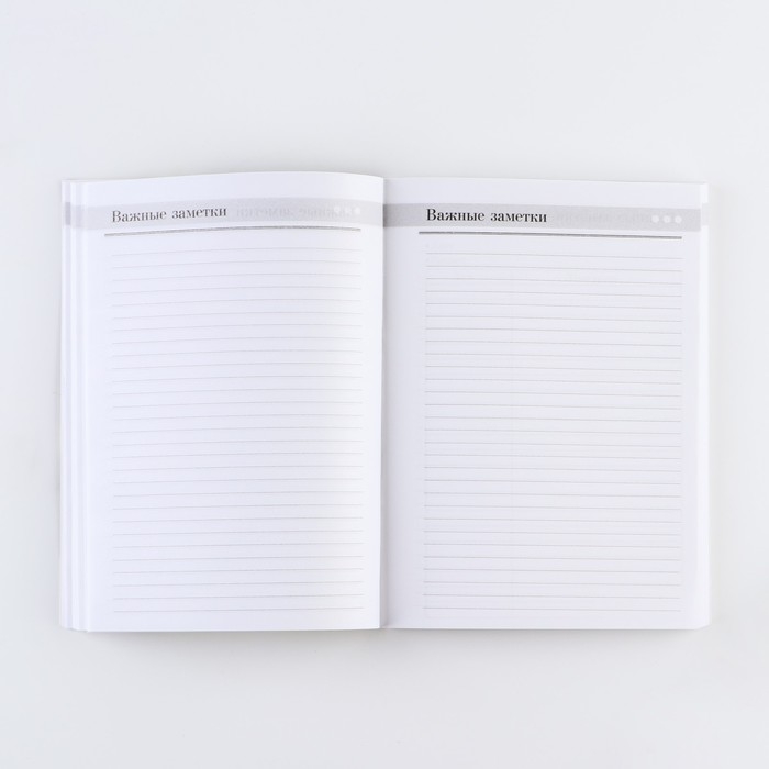 Ежегодник &laquo;Учителю: Любимого учителя&raquo;, формат А5, 160 листов, мягкая обложка