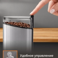 Кофемолка электрическая Fast Touch GX204D10