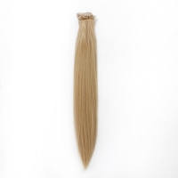 Волосы на трессах, прямые, на заколках, 12 шт, 60 см, 220 гр, цвет тёплый блонд(#SHT15) Волосы на трессах, прямые, на заколках, 12 шт, 60 см, 220 гр, цвет тёплый блонд(#SHT15)