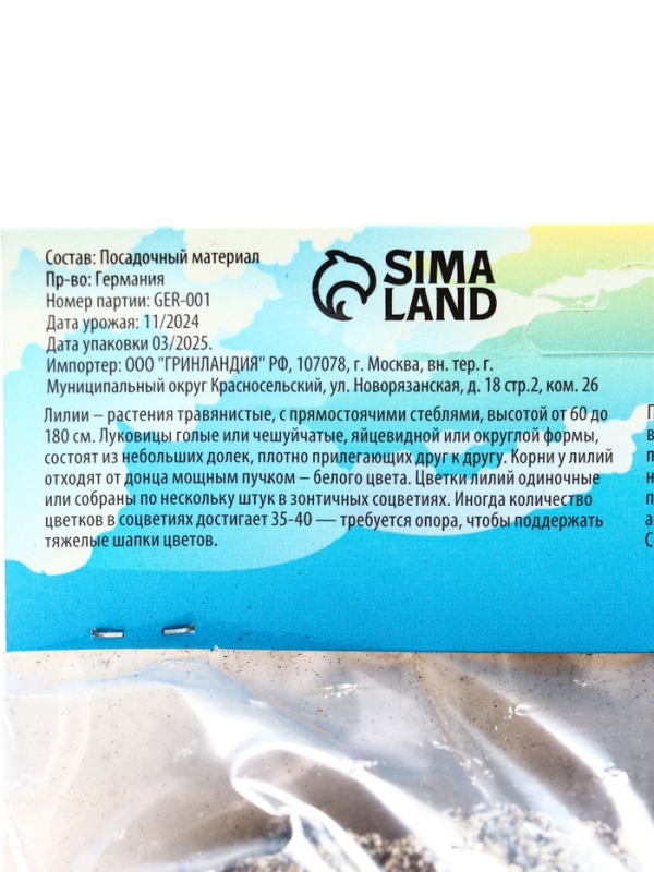 Лилия гибридная &laquo;ЛоллиПоп&raquo;, луковица в пакете с перфорацией, р-р 14/16, 2 шт.