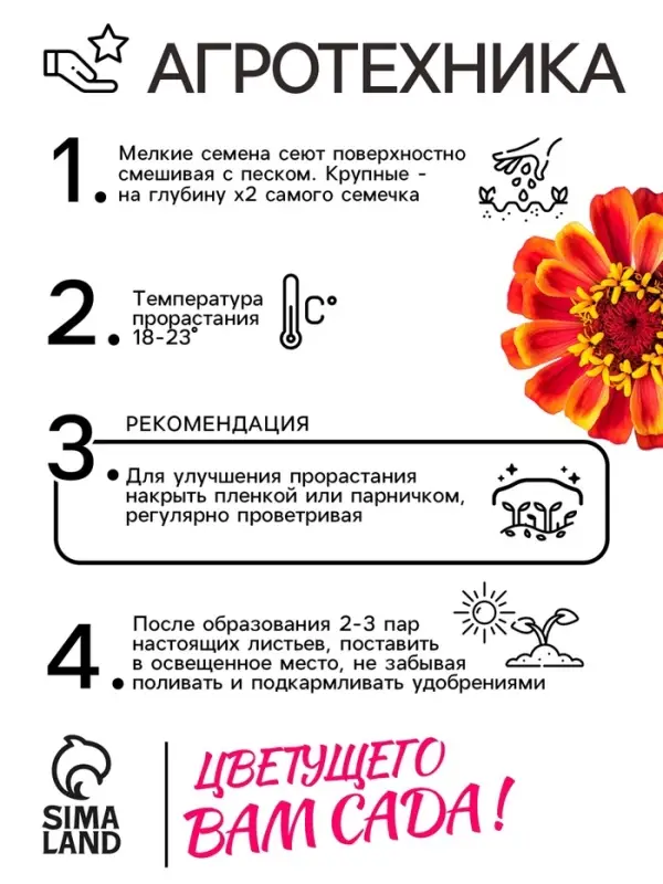 Семена цветов Цинния "Сомбреро", 0,2 г