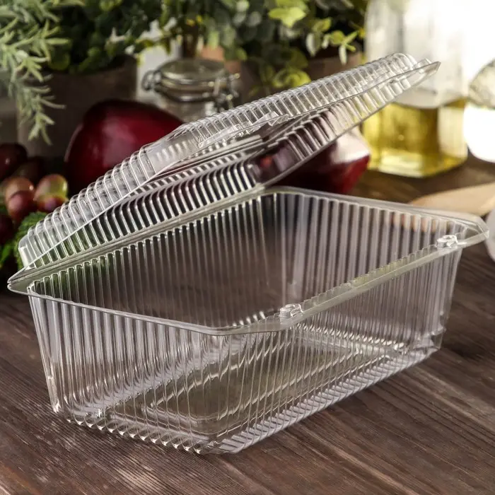 Контейнер одноразовый с неразъёмной крышкой ПР-К-29, пластик, 500 мл, 24.8&times;15.2&times;9.2 см, прозрачный