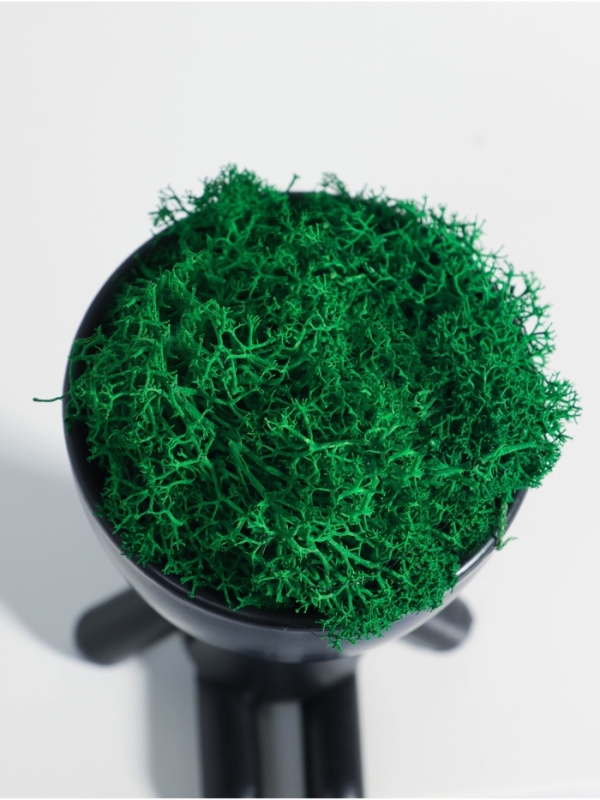 Кашпо пластиковое "Мистер Грин сидит" 13*9*7,3 см черный