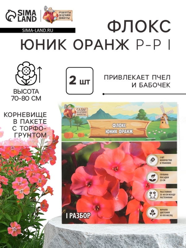 Флокс &laquo;Юник Оранж&raquo; корневище в пакете с торфогрунтом, р-р I, 2 шт.