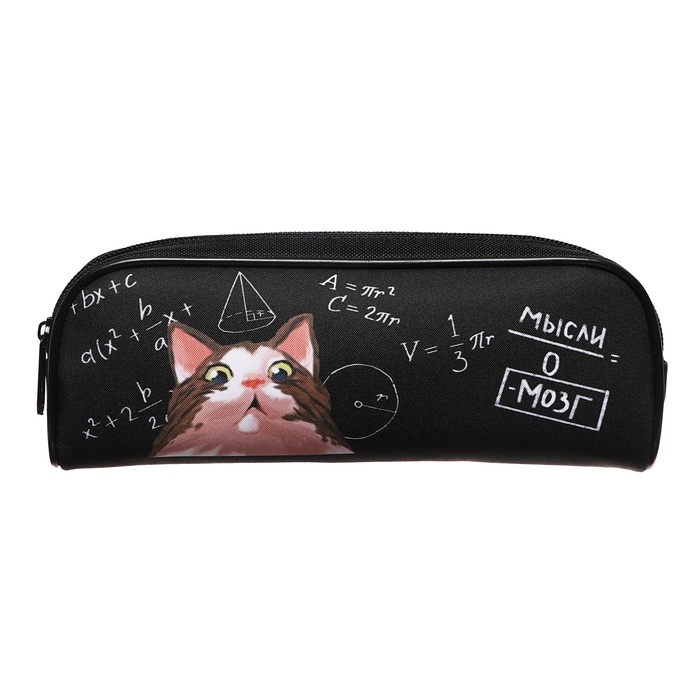 Пенал мягкий, 1 отделение, 80 х 210 х 40 мм, объёмный, Calligrata ПМО 21-20, "Умный кот"
