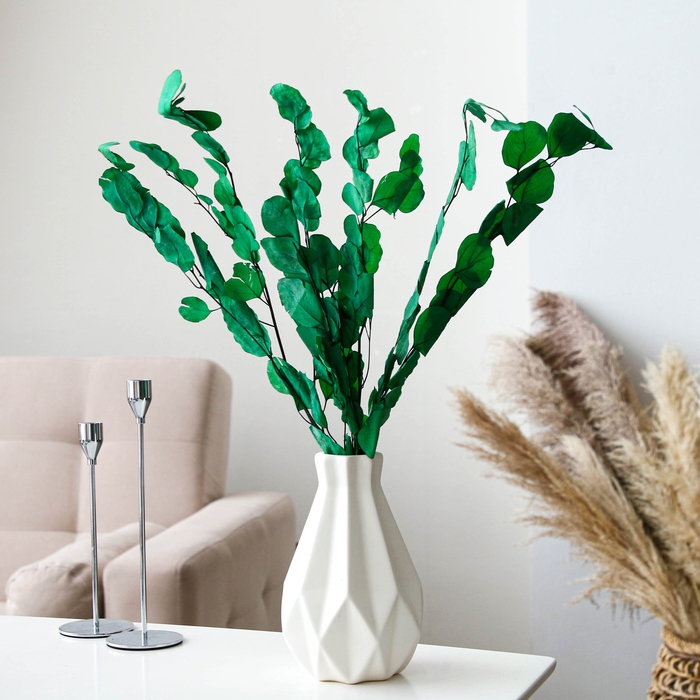 Сухоцвет персикого дерева, 50 г, длина — 70 см, цвет светло-зелёный Сухоцвет персикого дерева, 50 г, длина — 70 см, цвет светло-зелёный