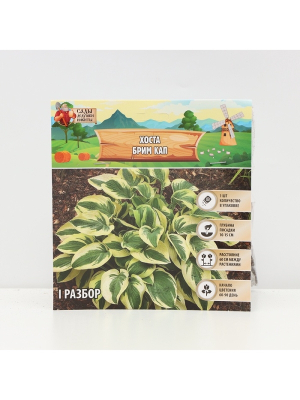 Хоста &laquo;Брим Кап&raquo;, корневище в пакете с торфогрунтом, р-р I, 1 шт.