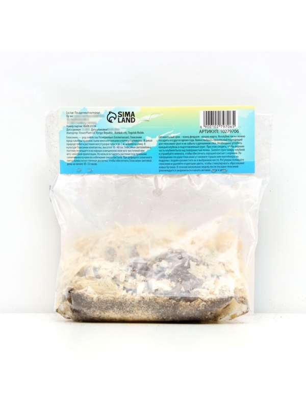 Глоксиния &laquo;Кайзер Фридрих&raquo;, многолетник, комнатный, луковица в пакете с перфорацией, р-р 5/6, 2 шт.