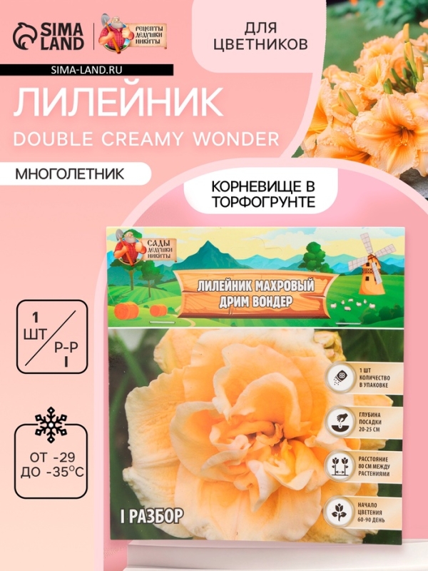 Лилейник Double Creamy Wonder, многолетник, корневище в пакете с торфогрунтом, р-р I, 1 шт.
