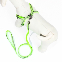 Комплект со светоотражающей лентой, ошейник 120 х 1 см, ОГ 26-40 см, зеленый