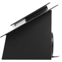 Вытяжка каминная HGH 6830 BG черный