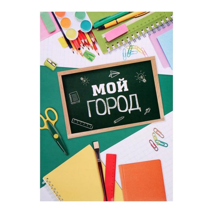 Папка школьная на кольцах &laquo;Портфолио школьника&raquo;, 10 листов-разделителей, 24,5 х 32 см.
