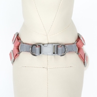 Комплект Sport+, XS, поводок 120 x 1,5 см, ОШ 37-39 см, ОГ 41-46 см, вес животного 4-6 кг, розовый Комплект Sport+, XS, поводок 120 x 1,5 см, ОШ 37-39 см, ОГ 41-46 см, вес животного 4-6 кг, розовый