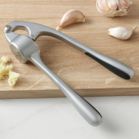 Пресс для чеснока Доляна &laquo;Идея&raquo;, 16,5 см