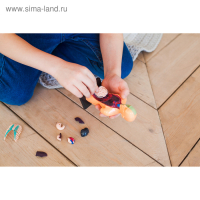 Набор для опытов &laquo;Анатомия человека&raquo;