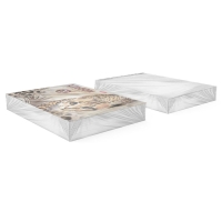 Альбом для рисования А4, 20 листов, блок 120 г/м², на клею, Erich Krause "Wild Cat", 100% белизна, твердая подложка Альбом для рисования А4, 20 листов, блок 120 г/м², на клею, Erich Krause "Wild Cat", 100% белизна, твердая подложка