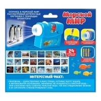 Проектор &laquo;Морской мир&raquo;, 3 слайда, 24 картинки