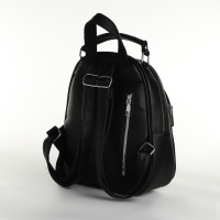 Рюкзак городской на молнии, цвет чёрный