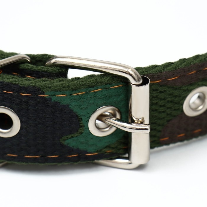 Ошейник брезентовый двухслойный Ошейник брезентовый двухслойный "Камуфляж", 58 х 2,5 см